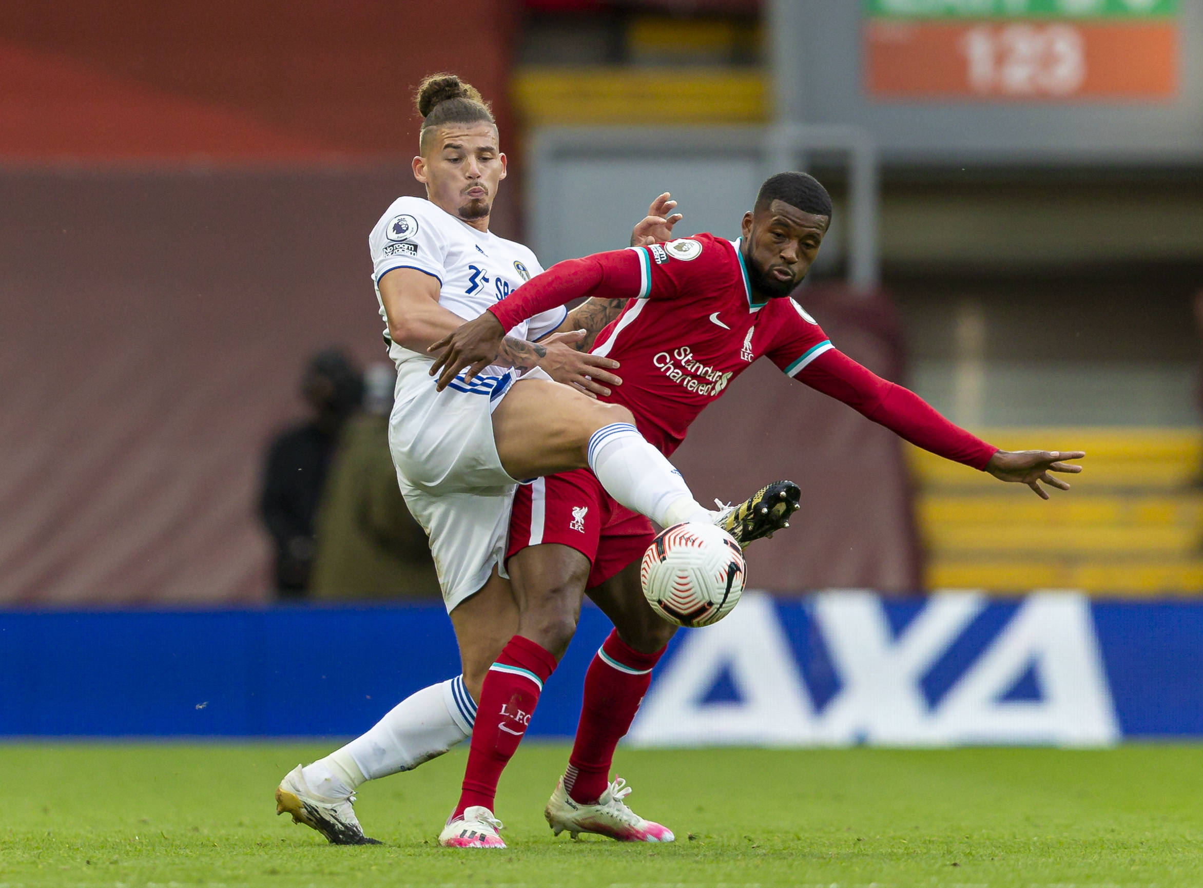 也解释了为 也解释了为